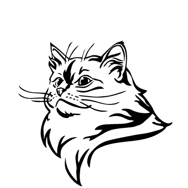Мордочка кішки 3